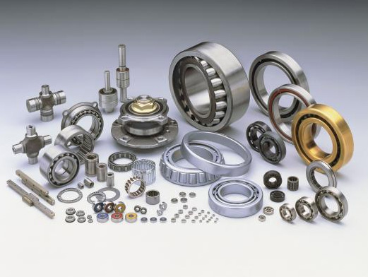 koyo1-16135221857.jpg koyo1-16135221857.jpg